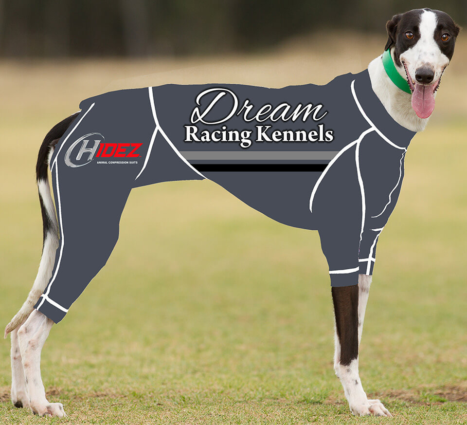 compression suits for cannie all breeds